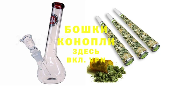 ГАЛЛЮЦИНОГЕННЫЕ ГРИБЫ Беломорск