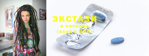 шишки Богородицк