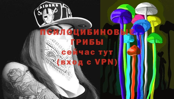прущие крисы Белокуриха