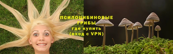 ГАЛЛЮЦИНОГЕННЫЕ ГРИБЫ Беломорск
